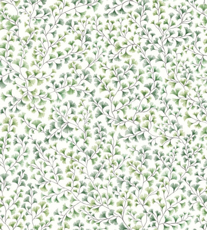Maidenhair Wallpaper by Cole & Son Olive