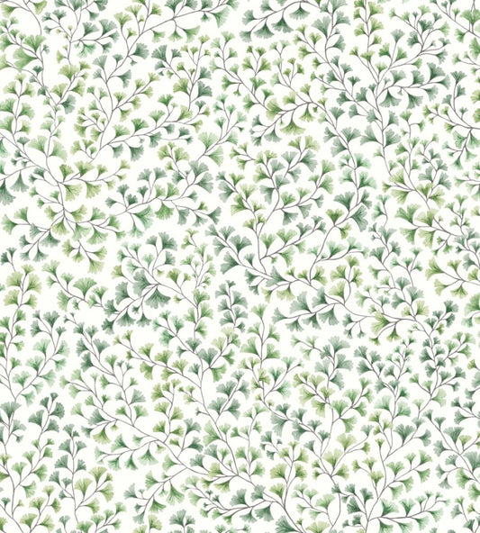 Maidenhair Wallpaper by Cole & Son Olive
