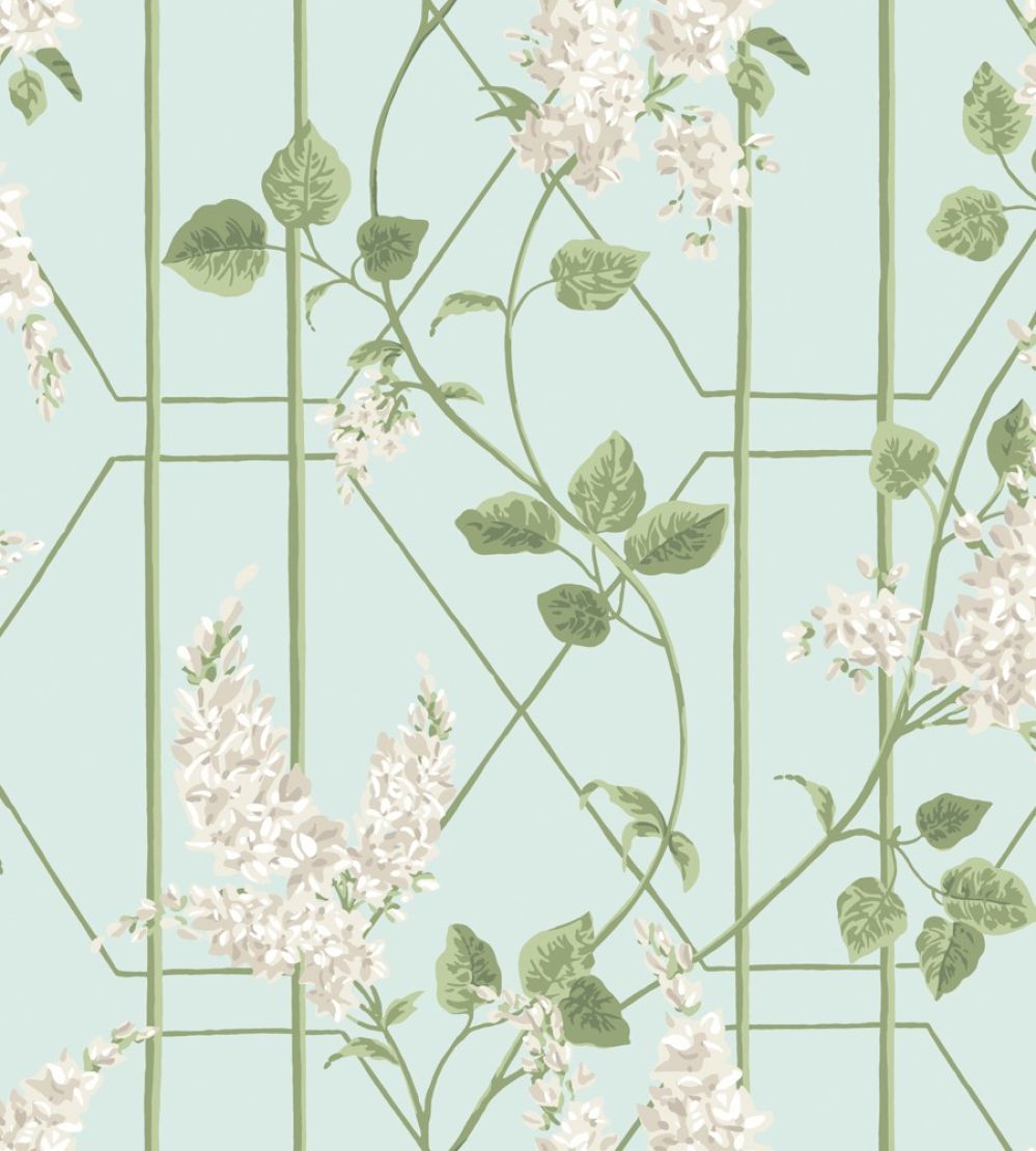 Wisteria Wallpaper by Cole & Son Stone & Olive on Duck Egg