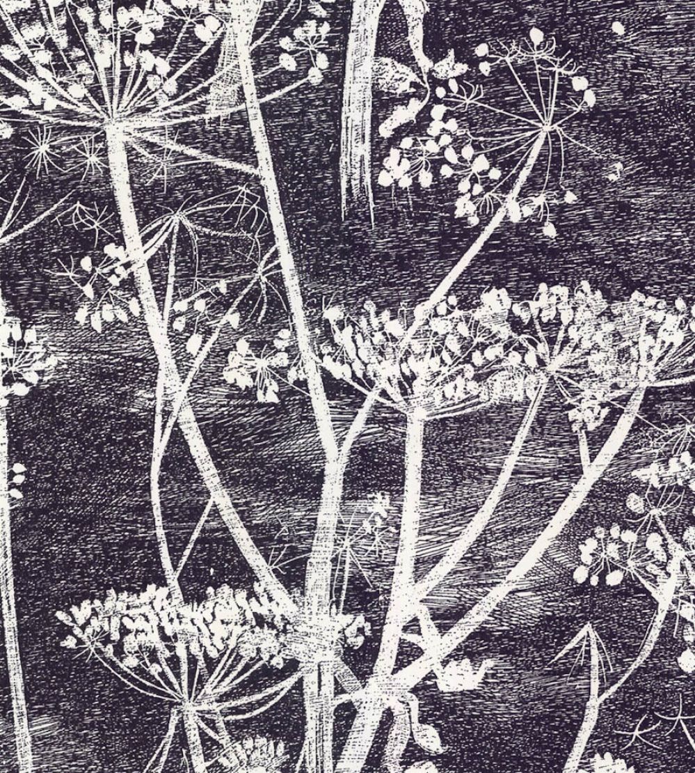 Cow Parsley Wallpaper by Cole & Son Etch Grey