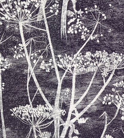 Cow Parsley Wallpaper by Cole & Son Etch Grey