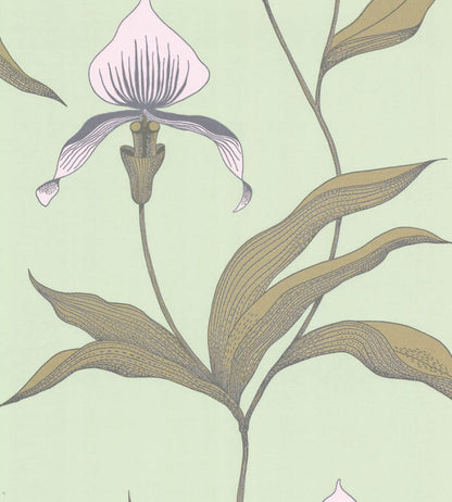 Orchid Wallpaper by Cole & Son 28