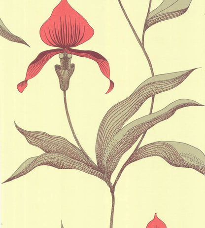Orchid Wallpaper by Cole & Son 33