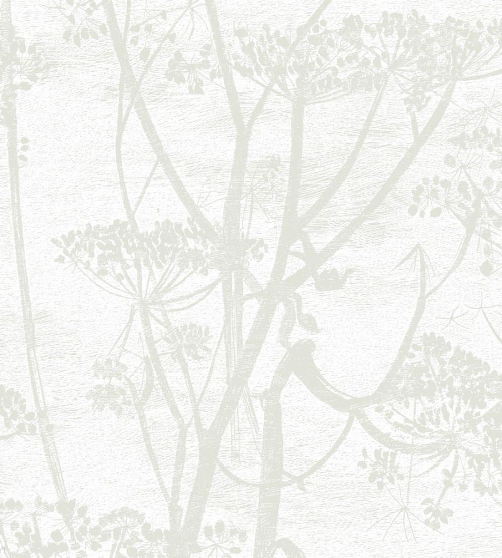 Cow Parsley Wallpaper by Cole & Son Pale Neutral Grey