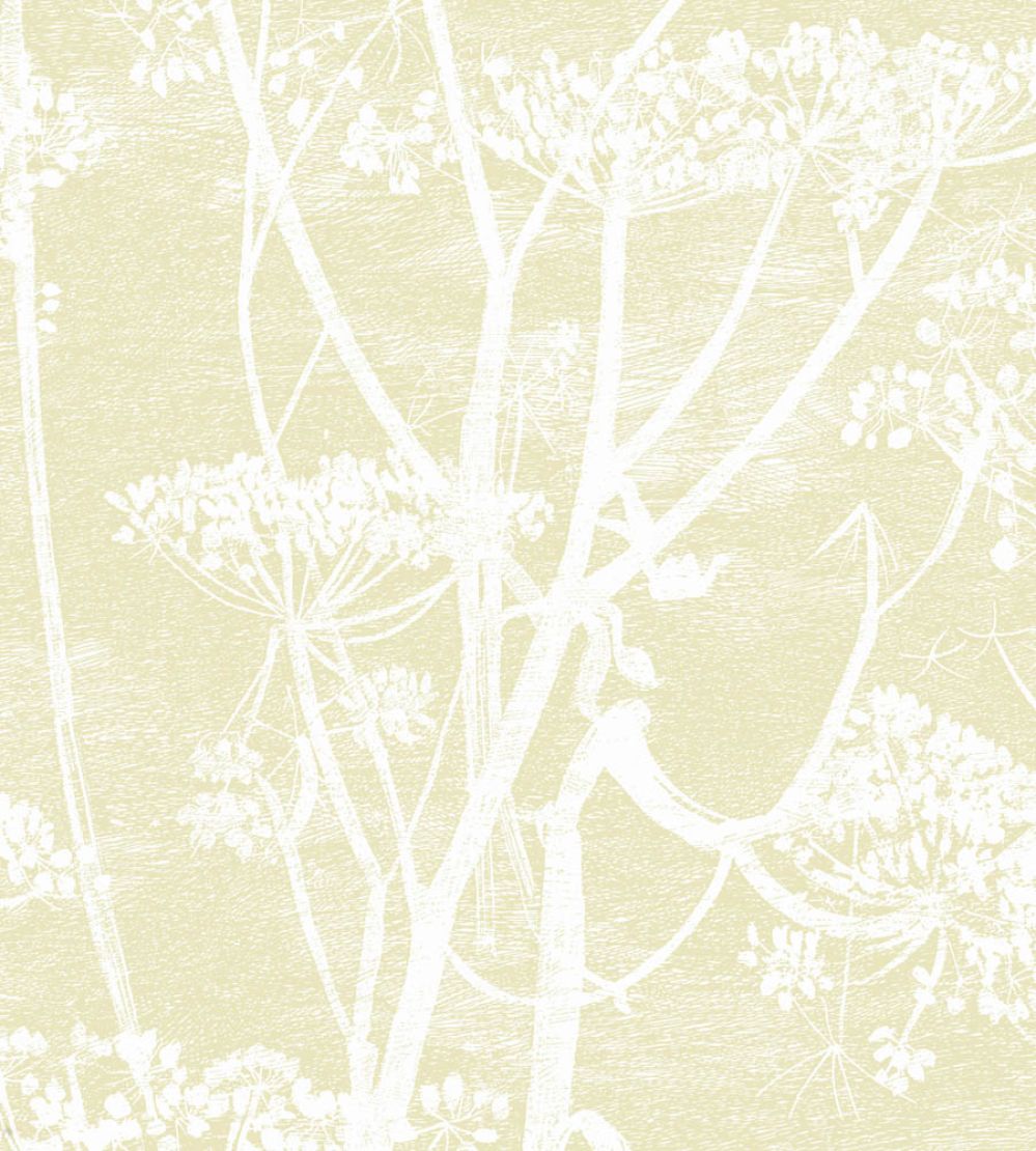 Cow Parsley Wallpaper by Cole & Son Sand