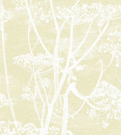 Cow Parsley Wallpaper by Cole & Son Sand