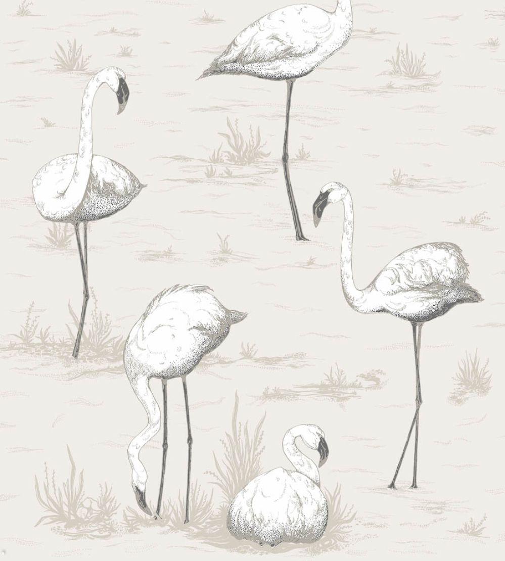 Flamingos Wallpaper by Cole & Son 46