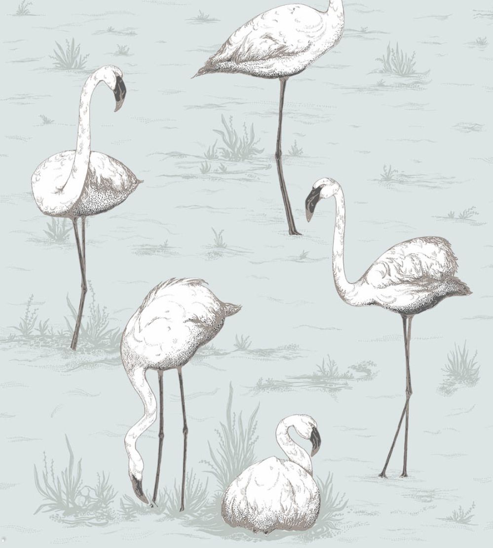 Flamingos Wallpaper by Cole & Son 47