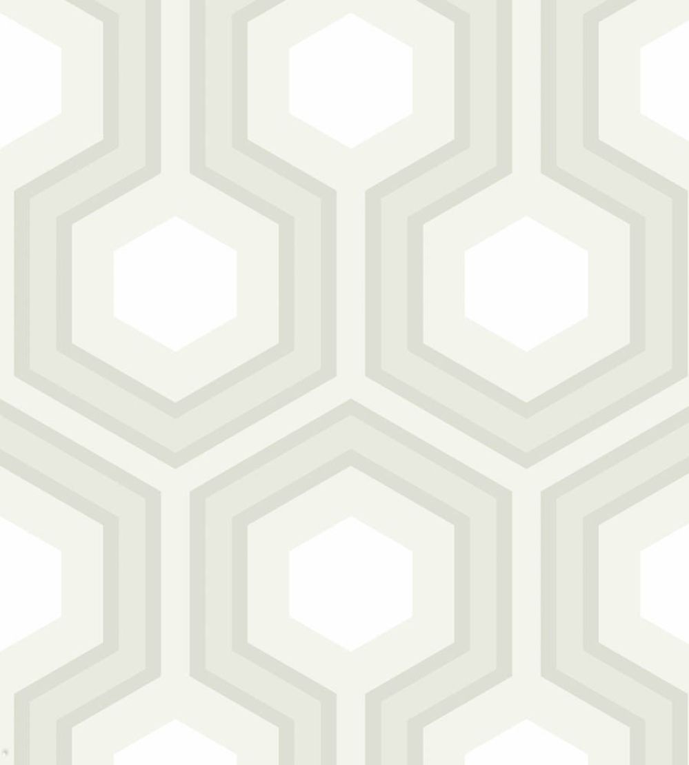 Hicks' Grand Wallpaper by Cole & Son 37