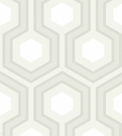 Hicks' Grand Wallpaper by Cole & Son 37