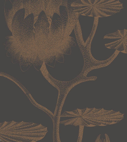 Lily Wallpaper by Cole & Son 21