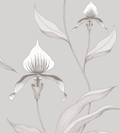 Orchid Wallpaper by Cole & Son 55