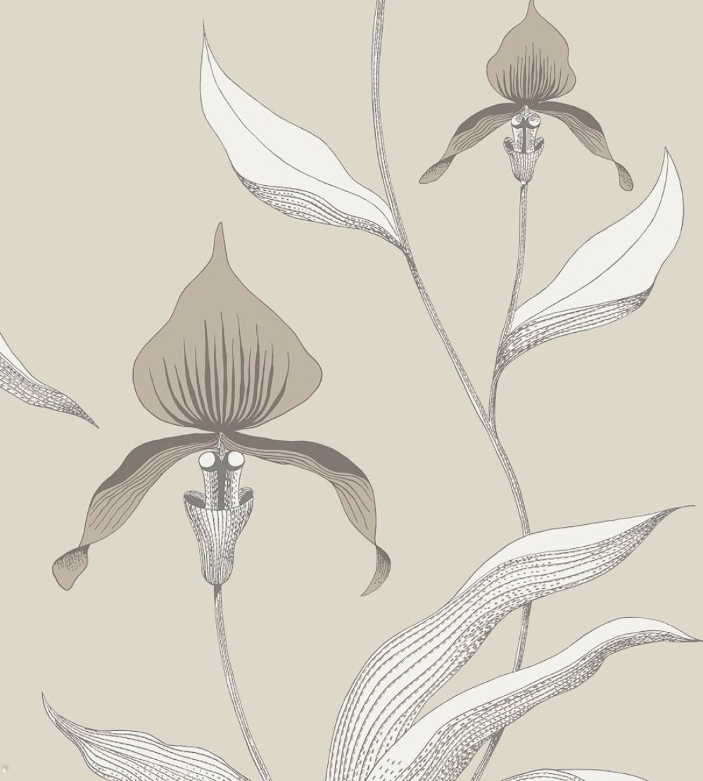 Orchid Wallpaper by Cole & Son 58