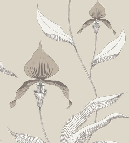 Orchid Wallpaper by Cole & Son 58