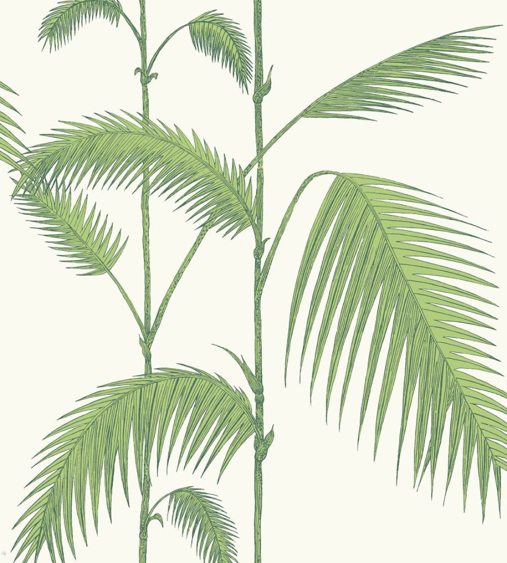 Palm Wallpaper by Cole & Son 9