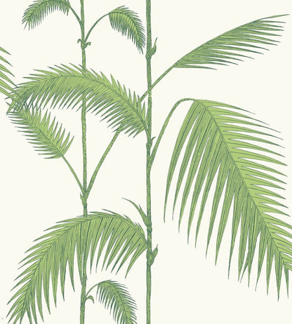 Palm Wallpaper by Cole & Son 9