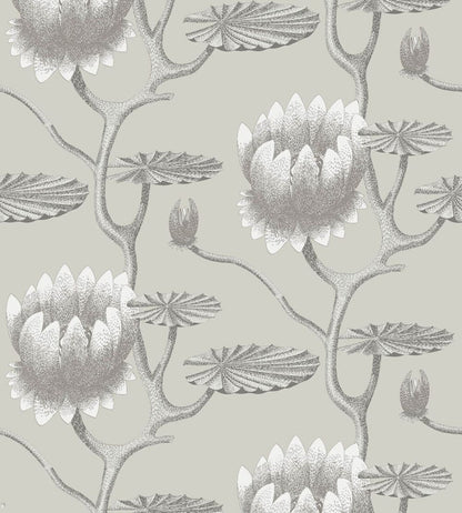 Summer Lily Wallpaper by Cole & Son 25