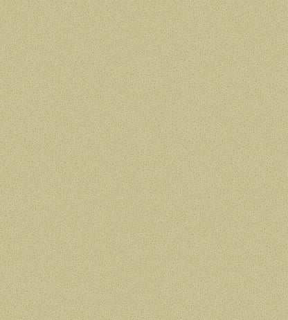 Goldstone Wallpaper by Cole & Son 9041