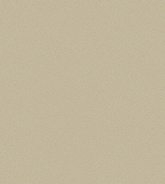 Goldstone Wallpaper by Cole & Son 9042