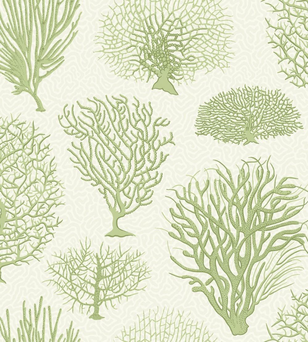 Seafern Wallpaper by Cole & Son 2008