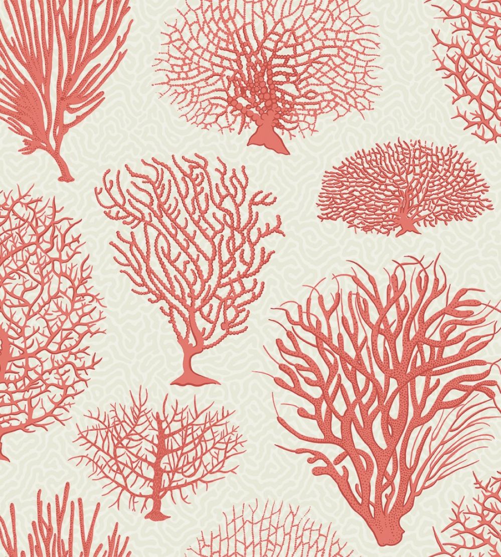 Seafern Wallpaper by Cole & Son 2011