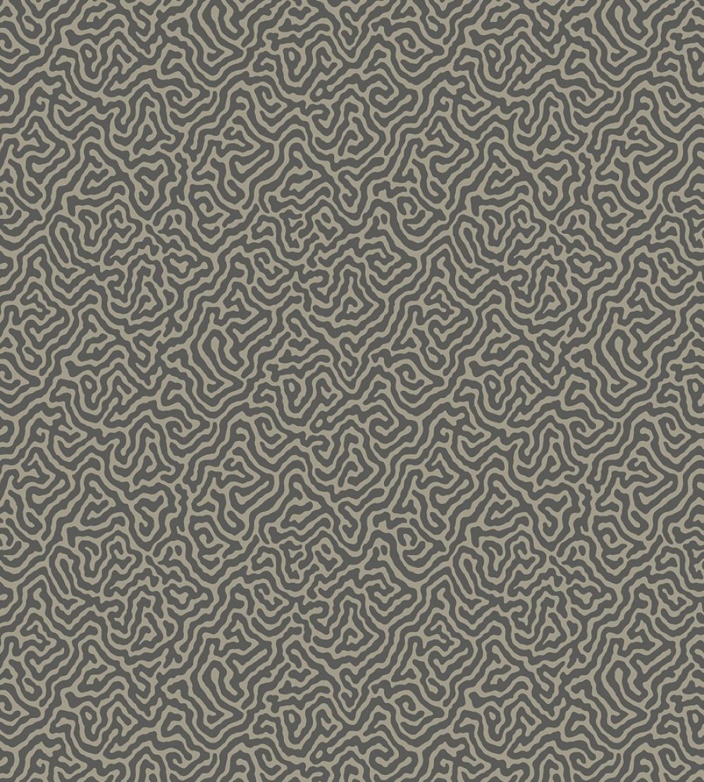 Vermicelli Wallpaper by Cole & Son 4017