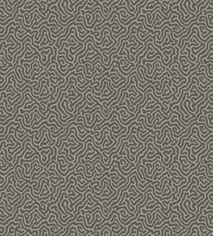 Vermicelli Wallpaper by Cole & Son 4017