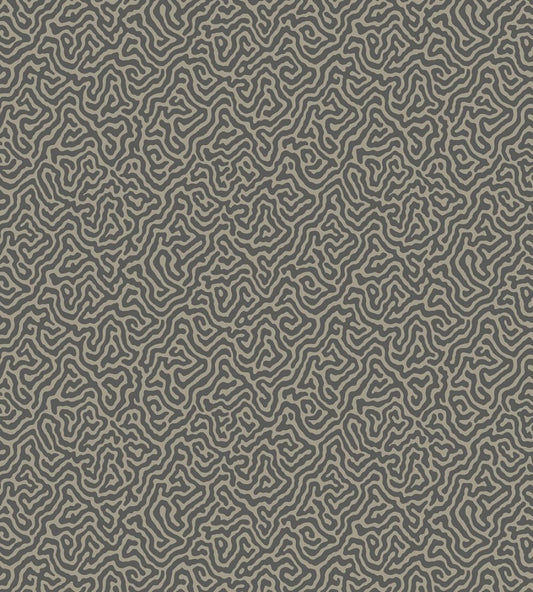 Vermicelli Wallpaper by Cole & Son 4017