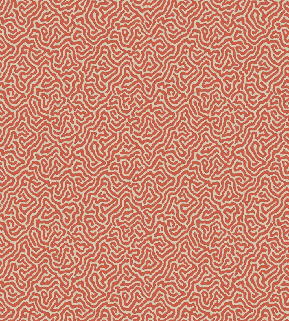 Vermicelli Wallpaper by Cole & Son 4018