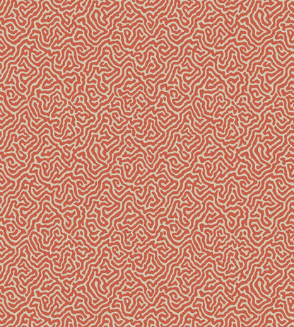 Vermicelli Wallpaper by Cole & Son 4018