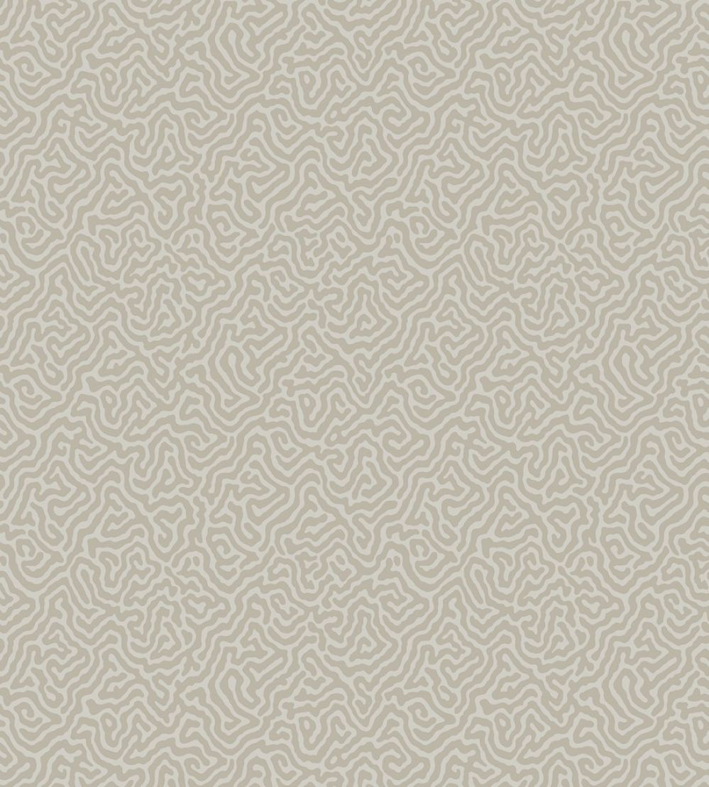 Vermicelli Wallpaper by Cole & Son 4019