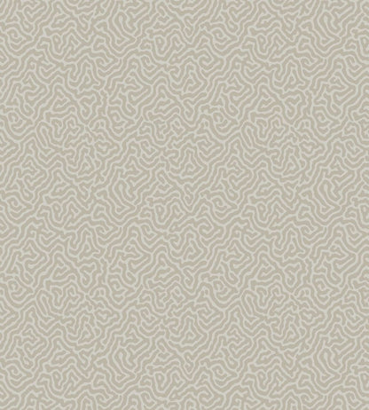 Vermicelli Wallpaper by Cole & Son 4019