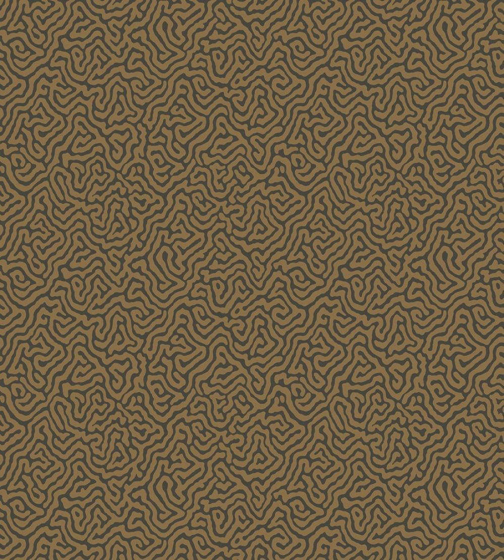 Vermicelli Wallpaper by Cole & Son 4020