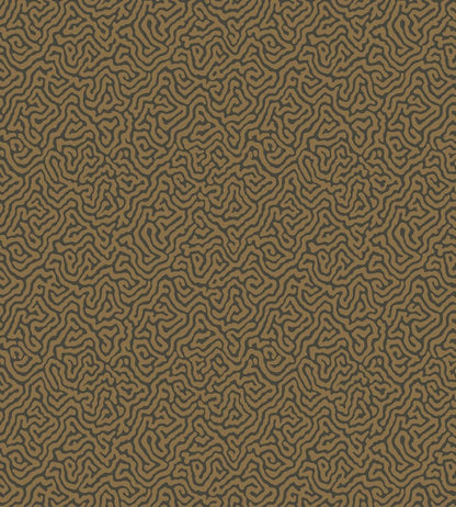 Vermicelli Wallpaper by Cole & Son 4020