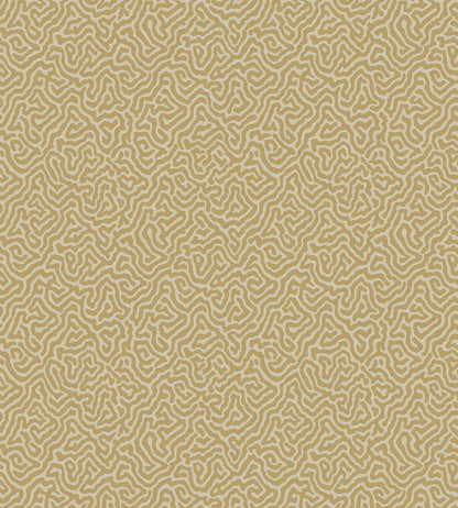 Vermicelli Wallpaper by Cole & Son 4021