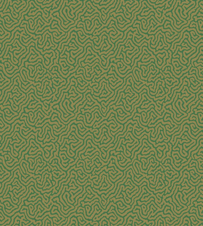 Vermicelli Wallpaper by Cole & Son 4022