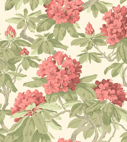 Bourlie Wallpaper by Cole & Son 4020