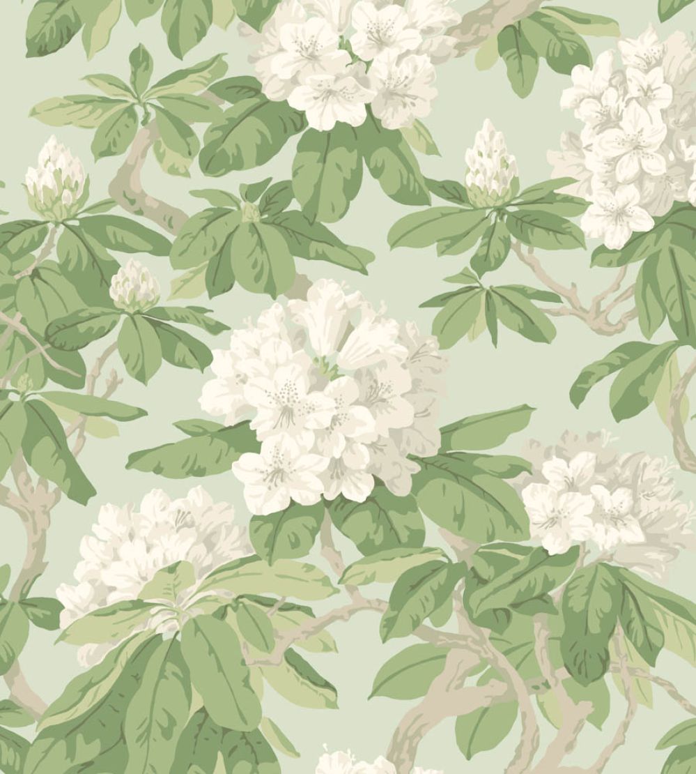 Bourlie Wallpaper by Cole & Son 4022