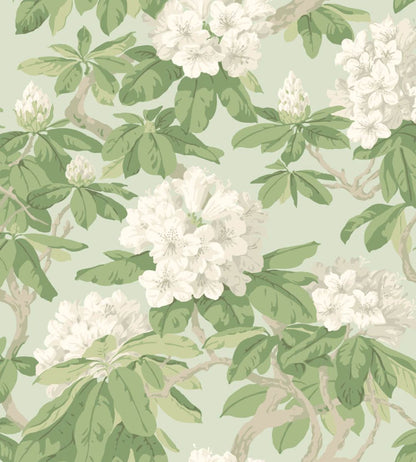 Bourlie Wallpaper by Cole & Son 4022