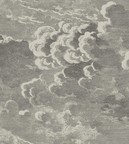 Nuvolette Wallpaper by Cole & Son Gilver & Charcoal