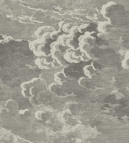 Nuvolette Wallpaper by Cole & Son Gilver & Charcoal