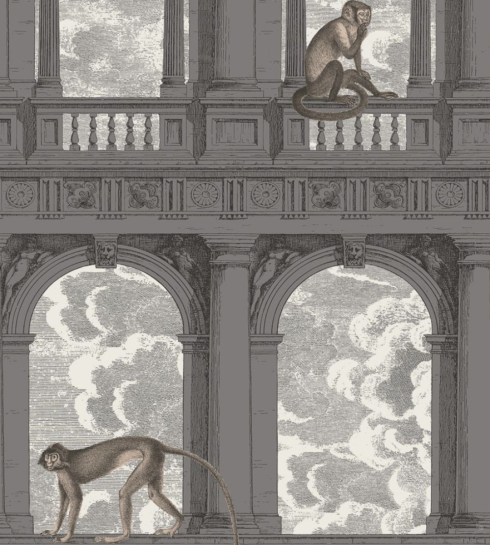 Procuratie Con Vista Wallpaper by Cole & Son Soot & Snow