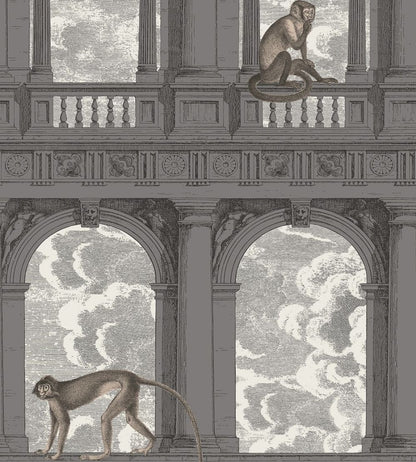 Procuratie Con Vista Wallpaper by Cole & Son Soot & Snow