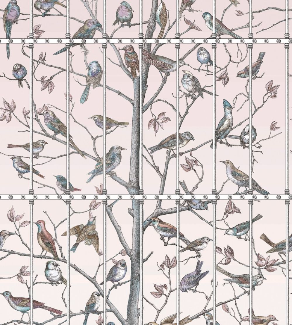 Uccelli Mural by Cole & Son Ballet Slipper