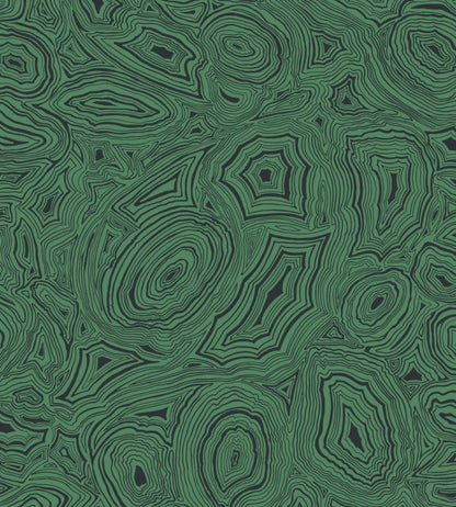Malachite Wallpaper by Cole & Son Emerald and Black