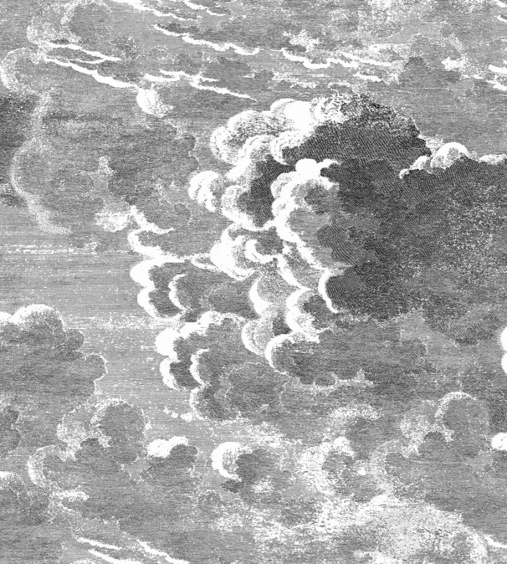 Nuvolette Wallpaper by Cole & Son Black and White