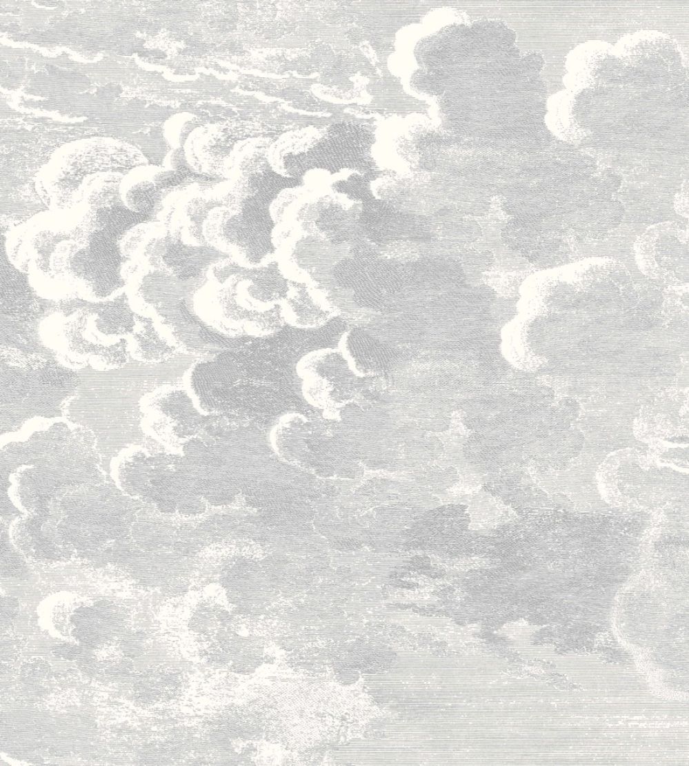 Nuvolette Wallpaper by Cole & Son Soot and Snow