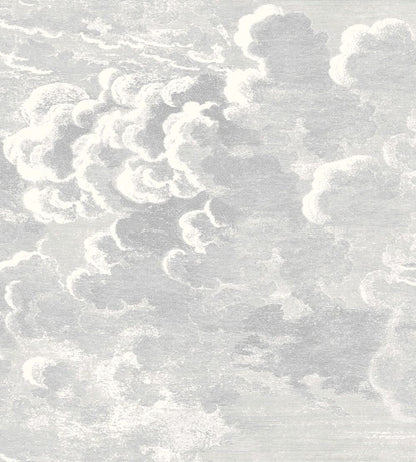 Nuvolette Wallpaper by Cole & Son Soot and Snow