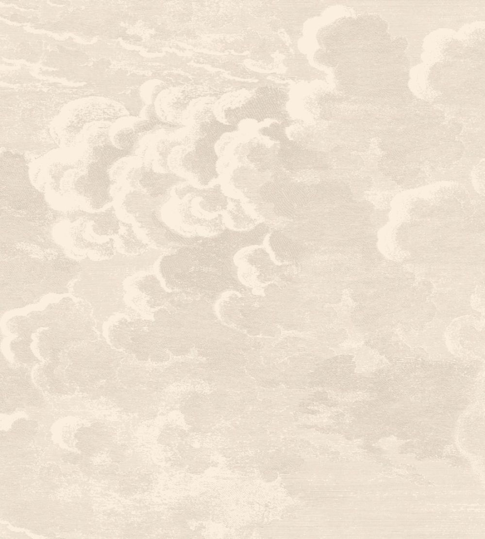 Nuvolette Wallpaper by Cole & Son Stone