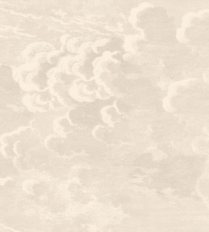 Nuvolette Wallpaper by Cole & Son Stone